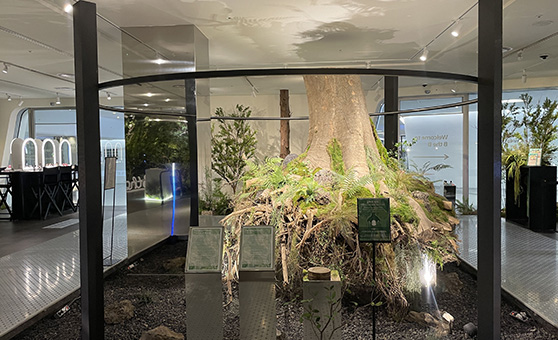 서울대표 뷰티복합문화공간 B the B 사진1